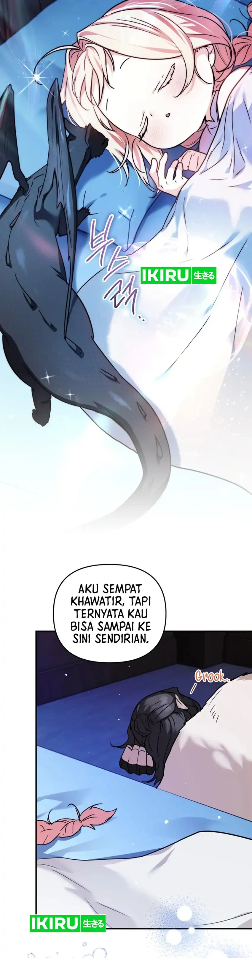 Halaman 12