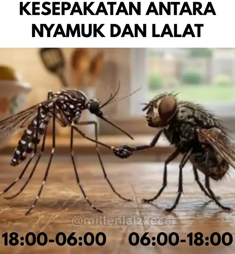Halaman 42