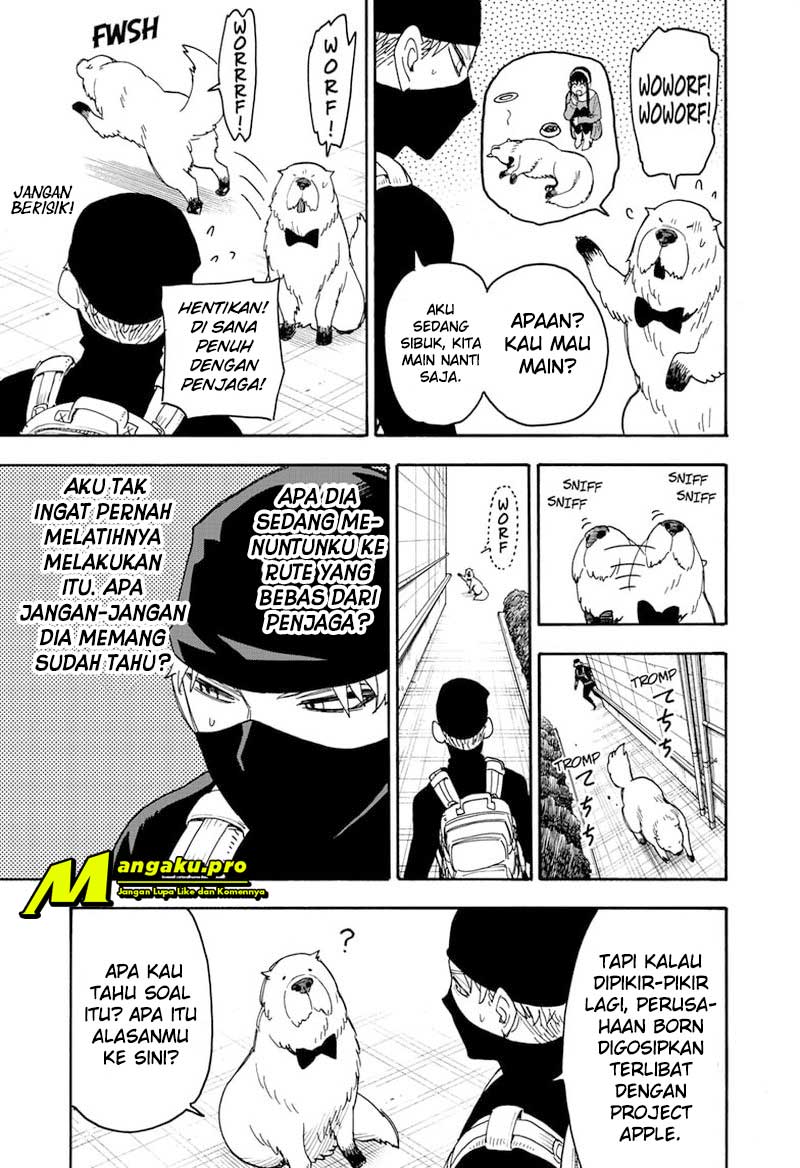 Halaman 17