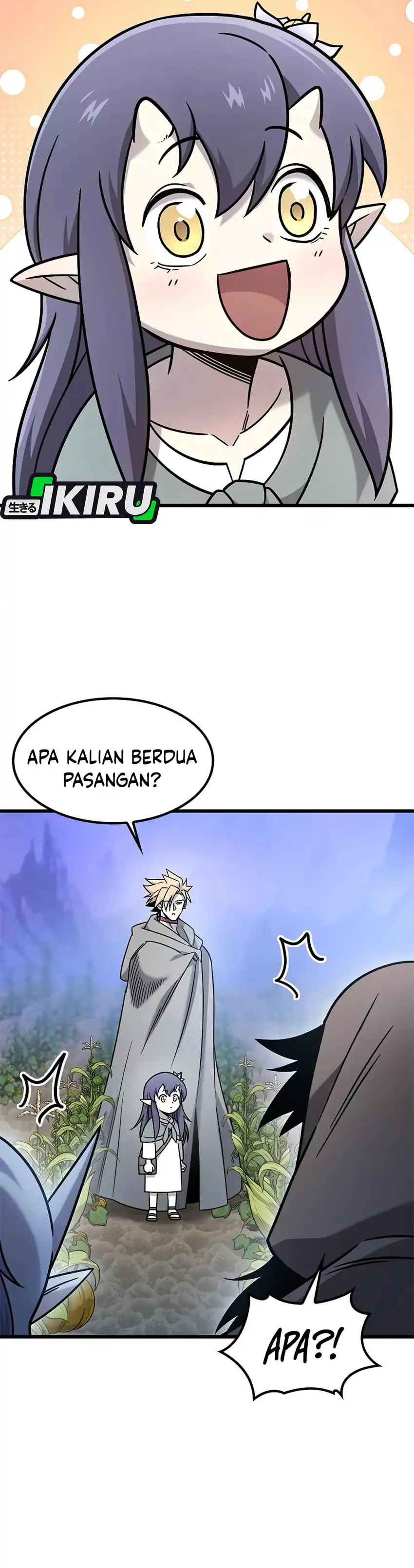 Halaman 24